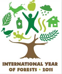 International Year of Forests
